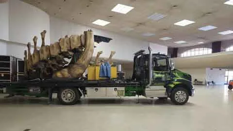 Specialty car hauling in Nickerson, KS